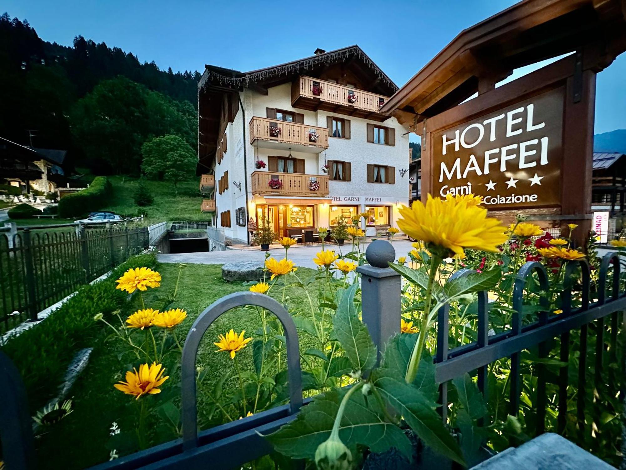 Hotel Garni Maffei Пинцоло Экстерьер фото